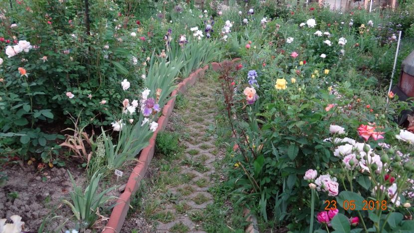  - De-ale lui Florar