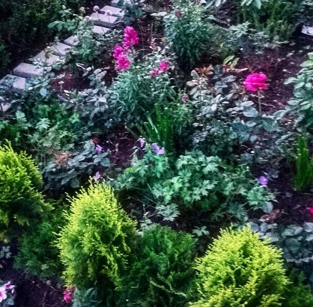 IMG-20180525-WA0002 - Gradina-2018