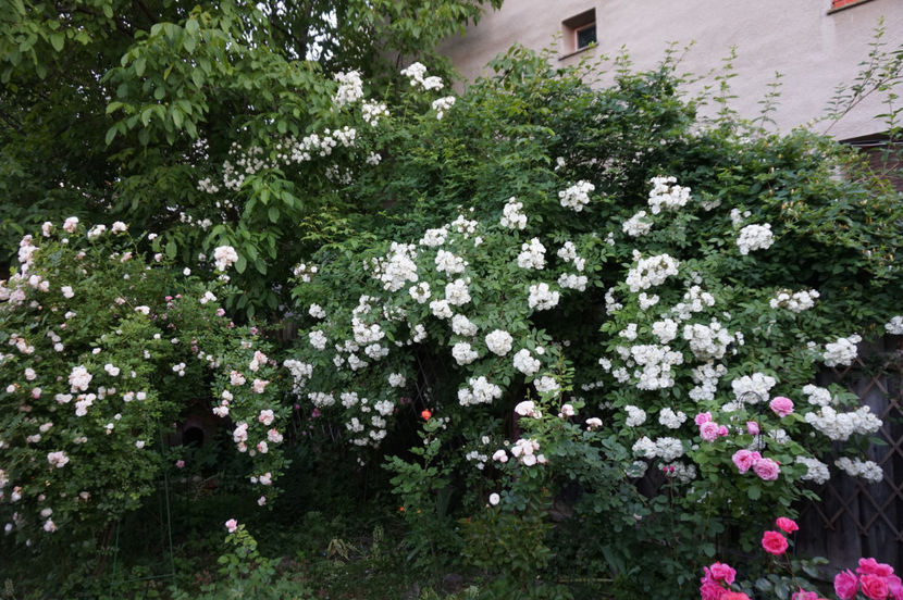  - Mai 2018