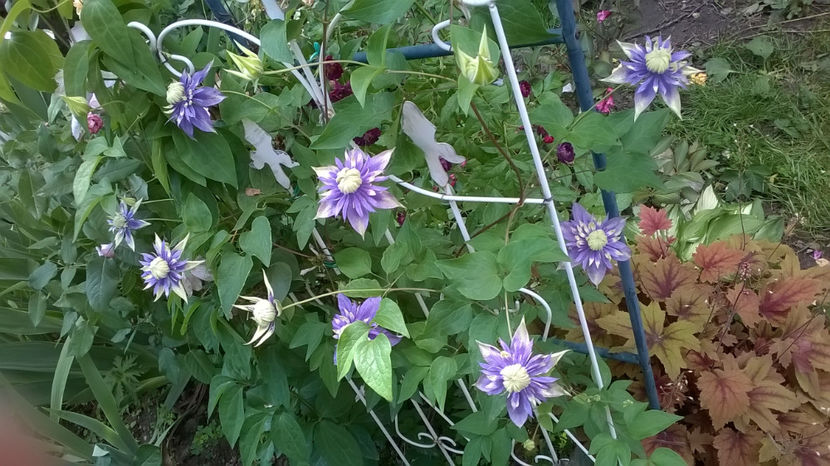  - Mai 2018
