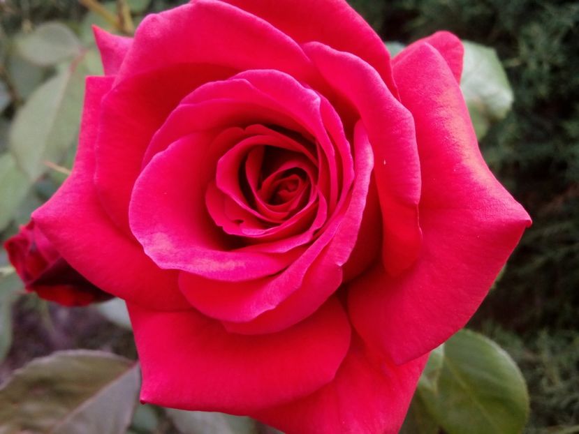  - Necunoscut alt no name