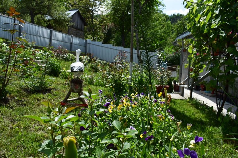  - 000000000000001   GRADINA MEA