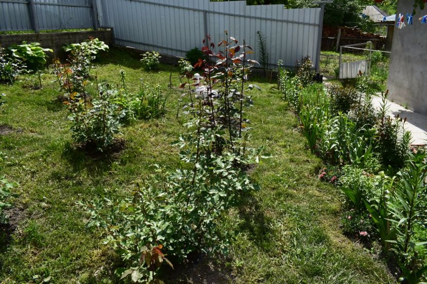  - 000000000000001   GRADINA MEA