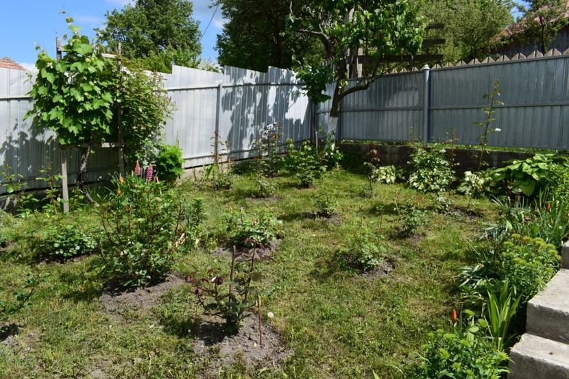  - 000000000000001   GRADINA MEA