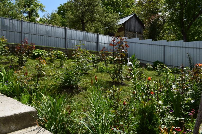  - 000000000000001   GRADINA MEA