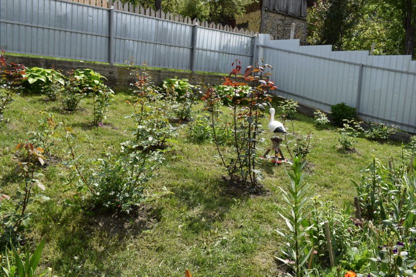  - 000000000000001   GRADINA MEA