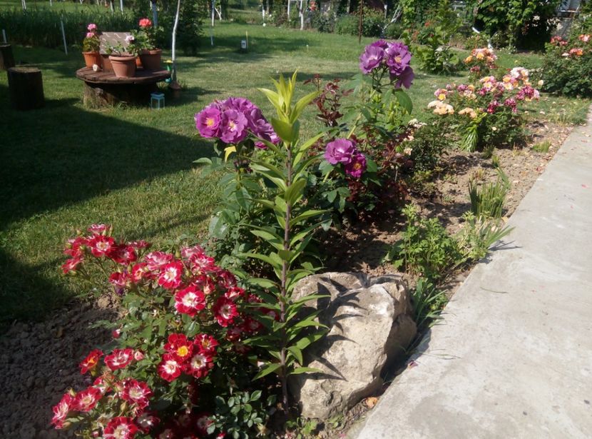 25 mai - gradina 2018