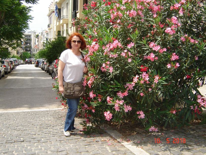  - 2018 mai Atena camera