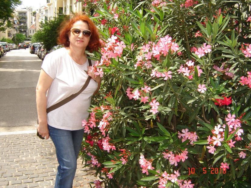  - 2018 mai Atena camera