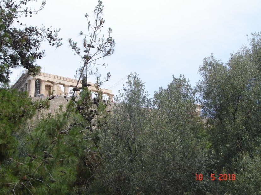  - 2018 mai Atena camera