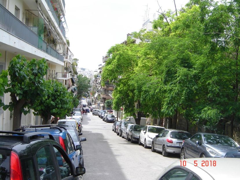  - 2018 mai Atena camera