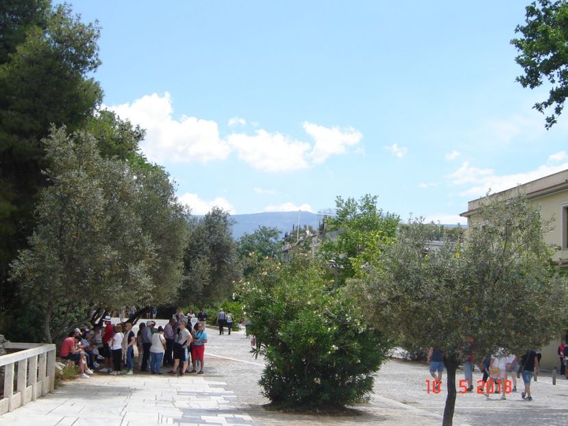  - 2018 mai Atena camera