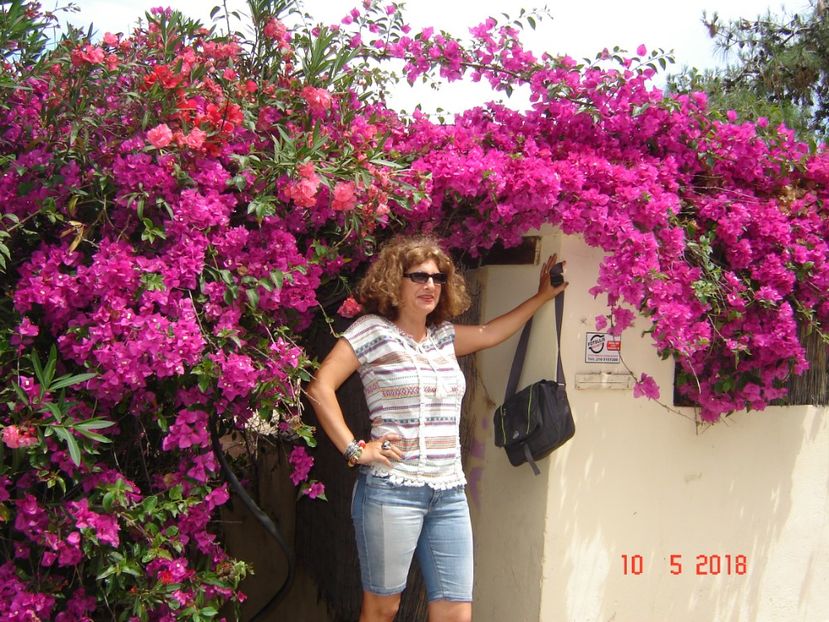  - 2018 mai Atena camera