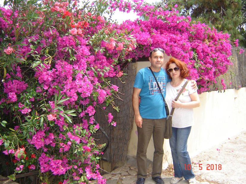  - 2018 mai Atena camera