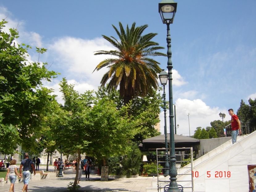  - 2018 mai Atena camera