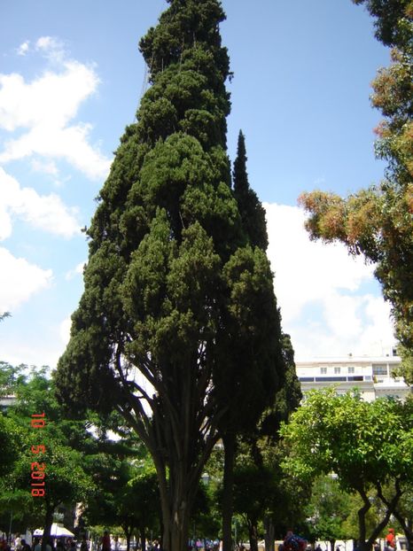  - 2018 mai Atena camera