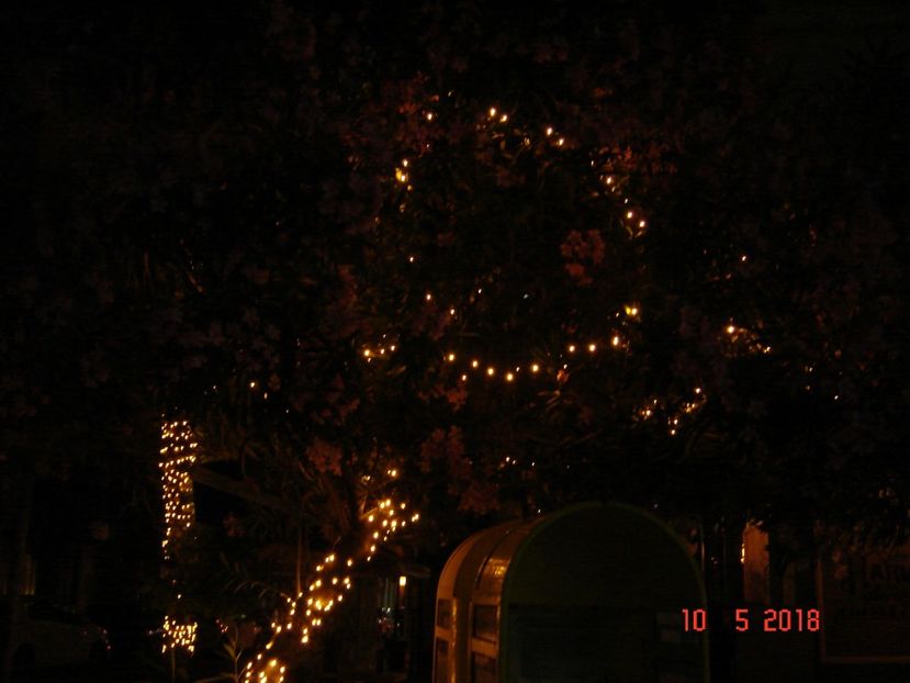  - 2018 mai Atena camera