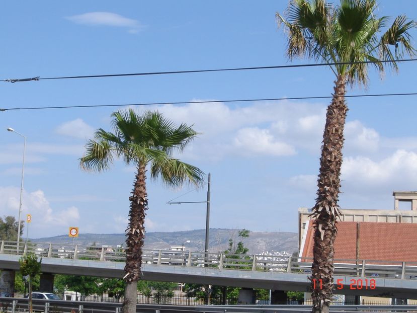  - 2018 mai Atena camera