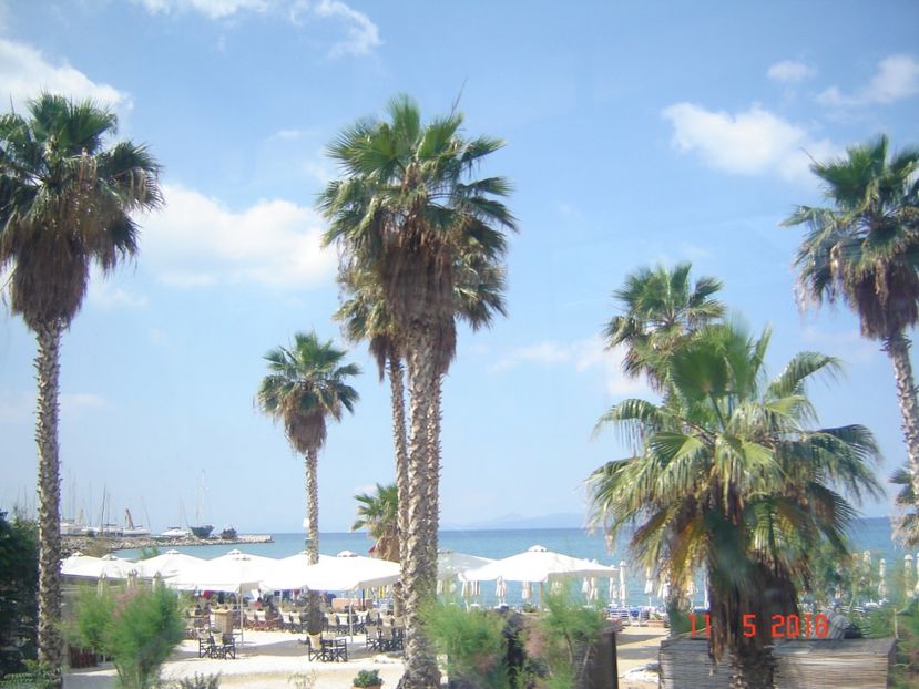  - 2018 mai Atena camera