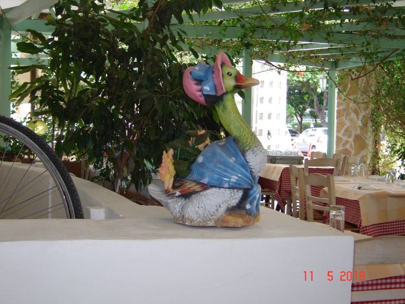  - 2018 mai Atena camera