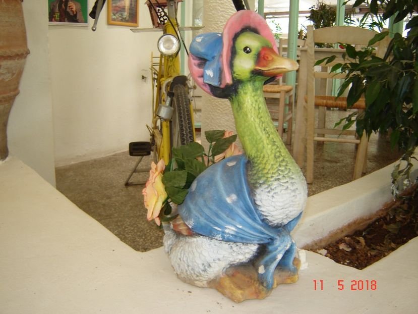  - 2018 mai Atena camera