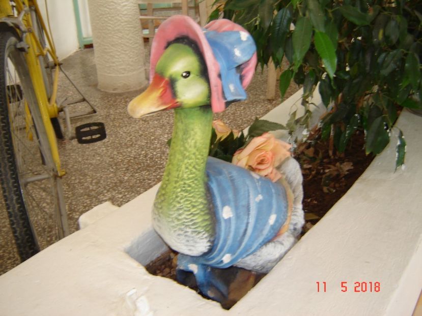  - 2018 mai Atena camera