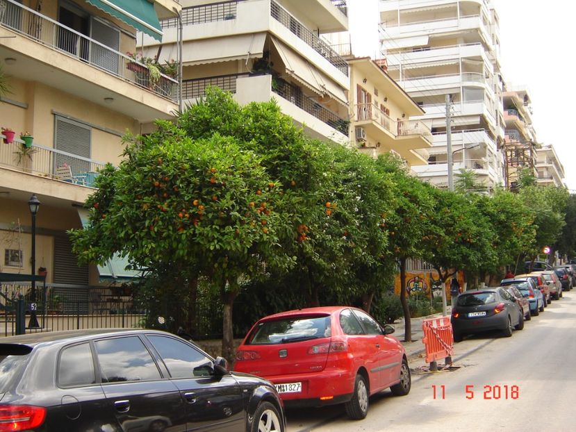  - 2018 mai Atena camera