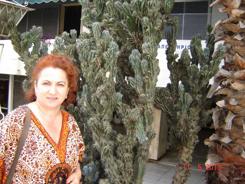  - 2018 mai Atena camera