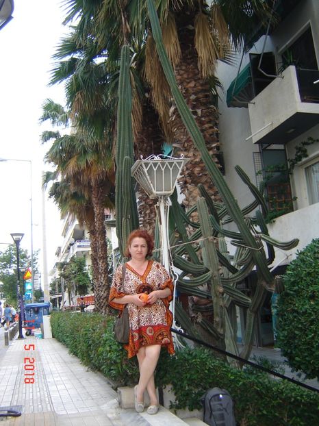  - 2018 mai Atena camera