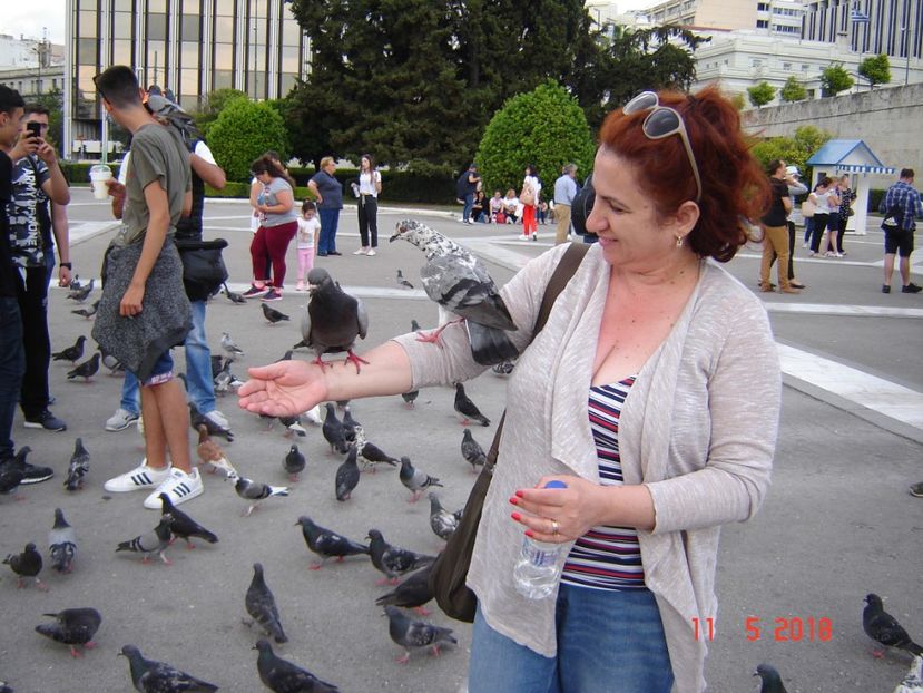  - 2018 mai Atena camera