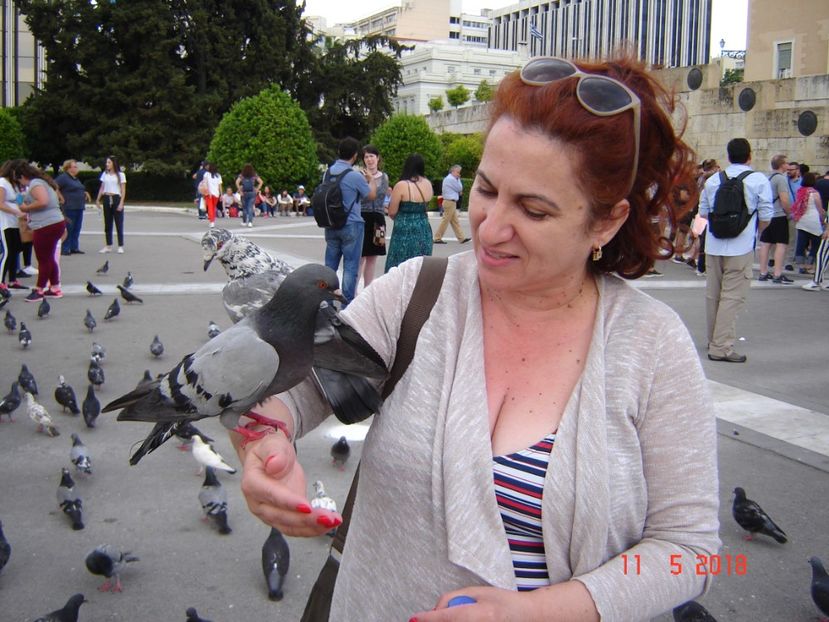  - 2018 mai Atena camera