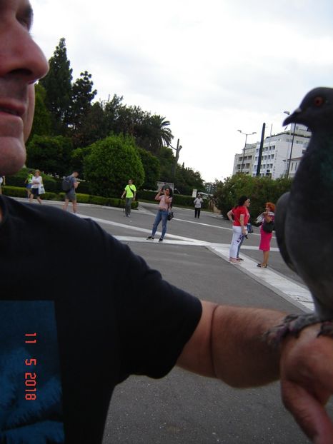  - 2018 mai Atena camera