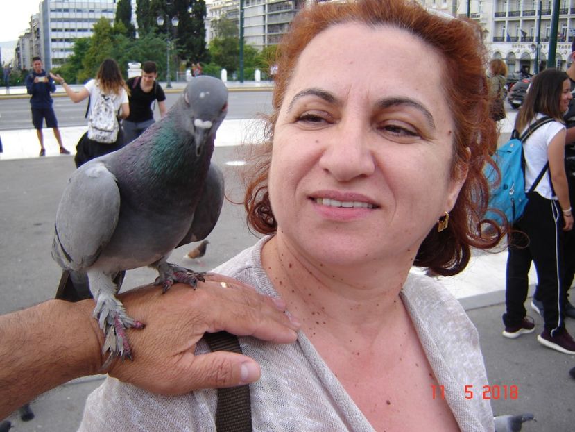  - 2018 mai Atena camera