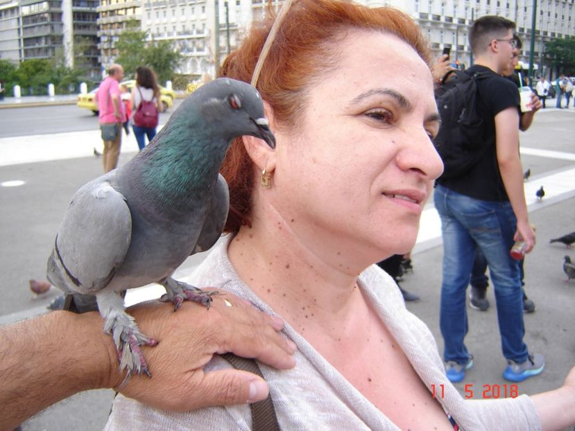  - 2018 mai Atena camera