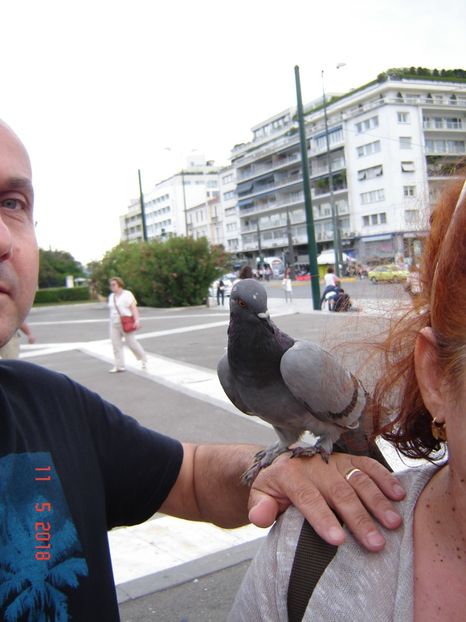  - 2018 mai Atena camera