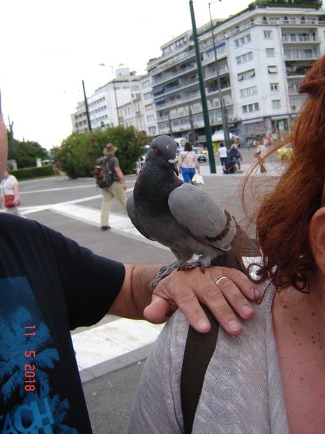  - 2018 mai Atena camera