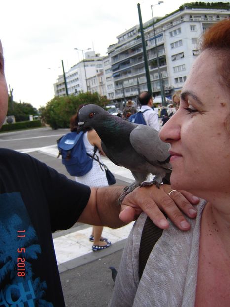  - 2018 mai Atena camera