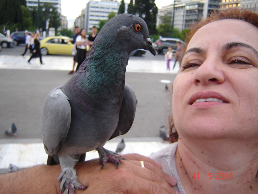  - 2018 mai Atena camera