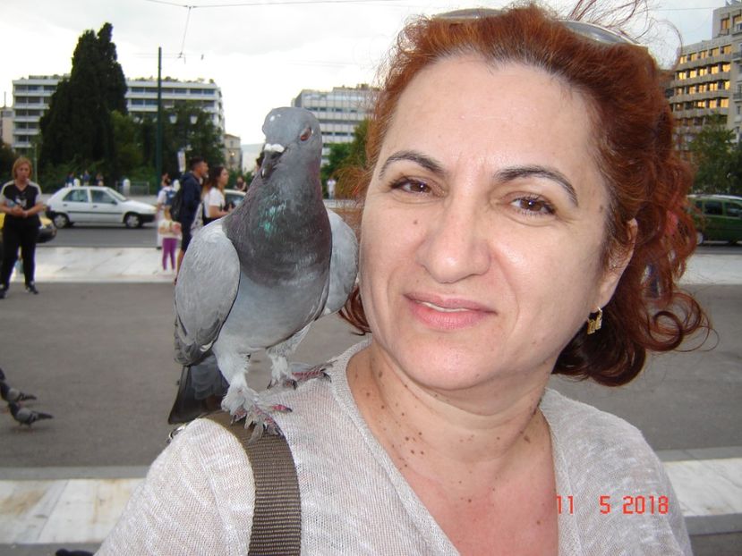  - 2018 mai Atena camera