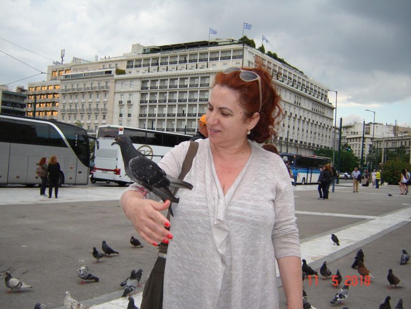  - 2018 mai Atena camera