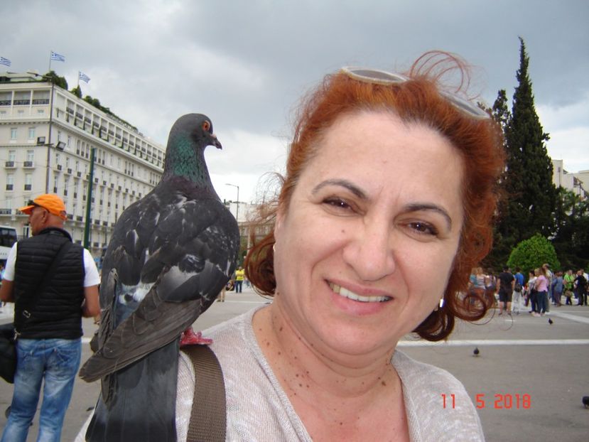  - 2018 mai Atena camera