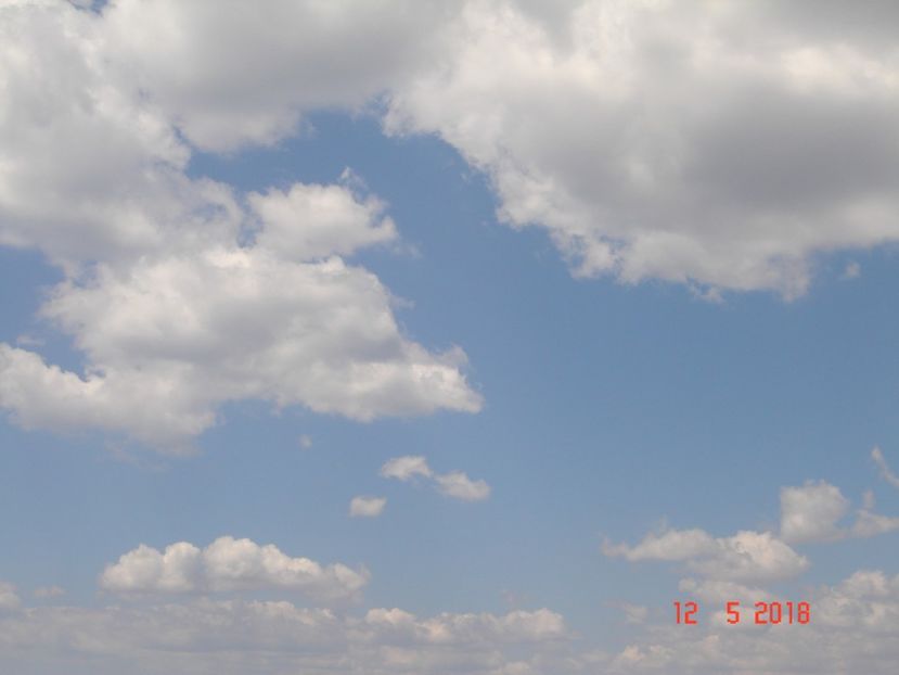  - 2018 mai Atena camera