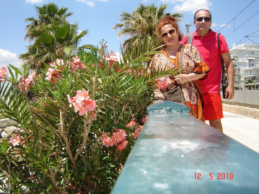  - 2018 mai camera Atena