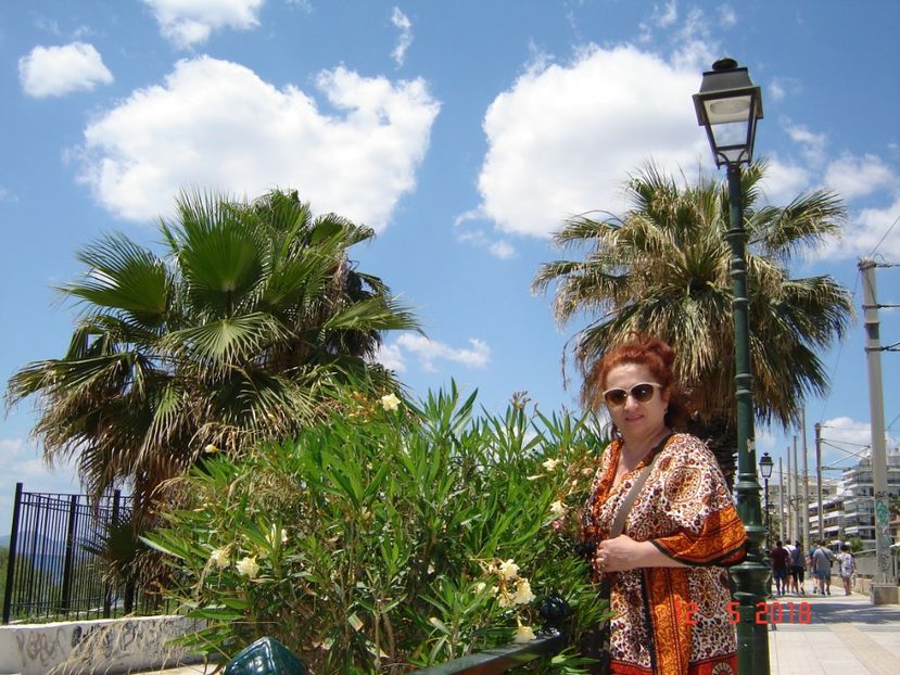  - 2018 mai camera Atena