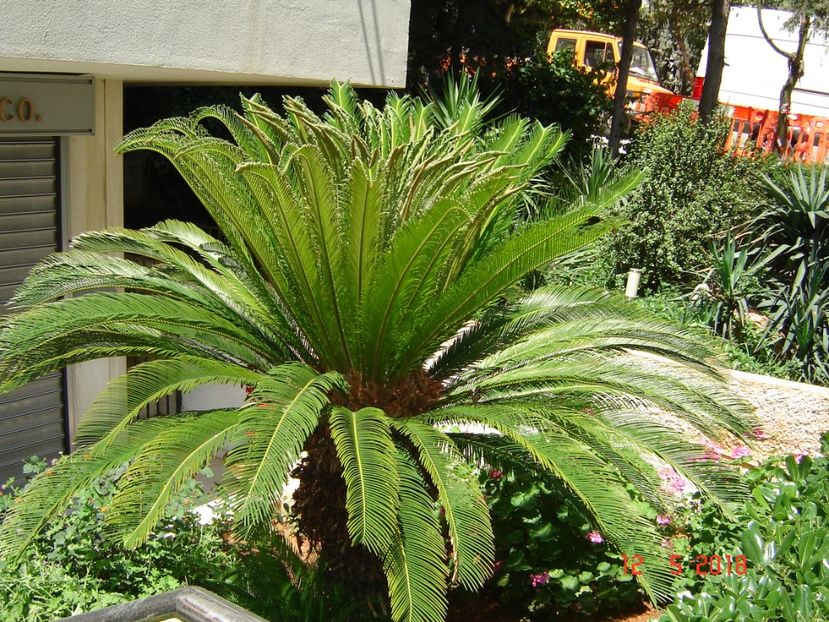  - 2018 mai camera Atena