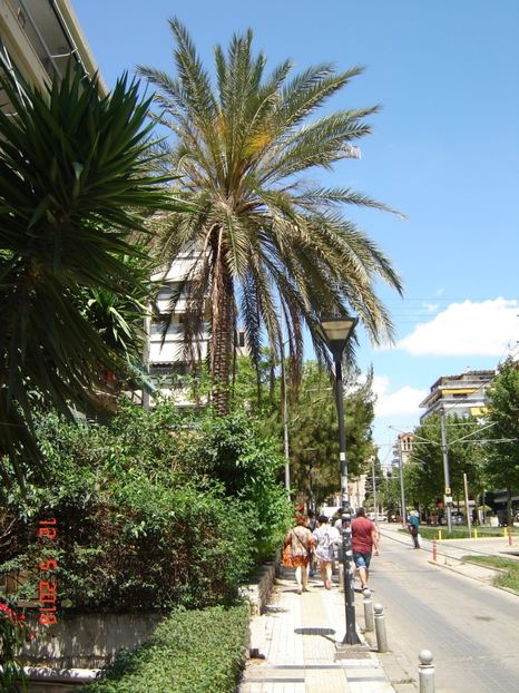  - 2018 mai camera Atena