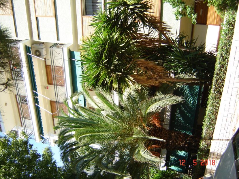  - 2018 mai camera Atena