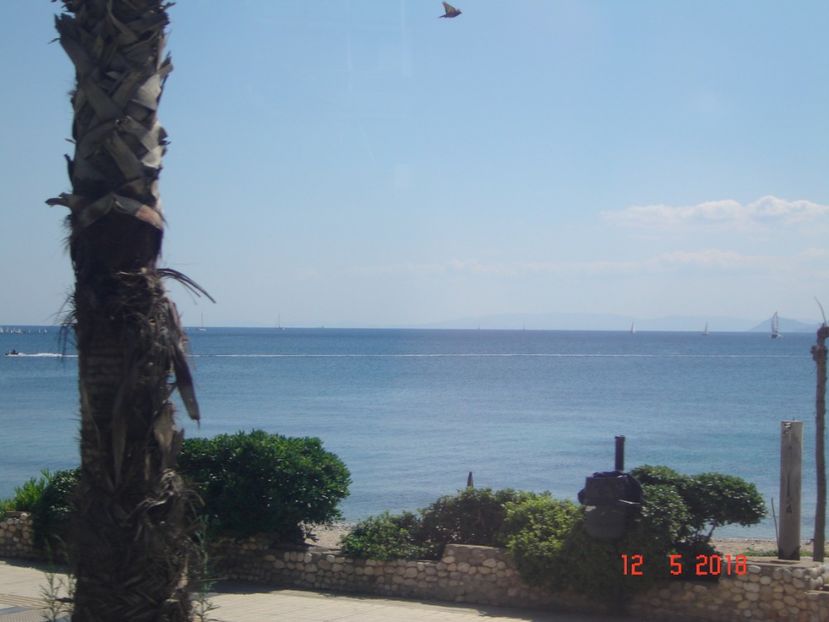  - 2018 mai camera Atena