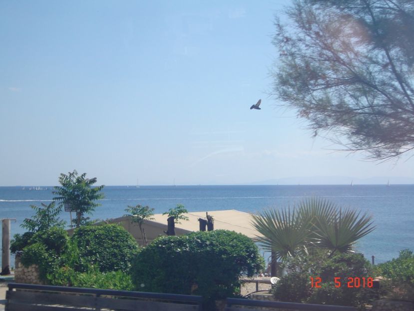  - 2018 mai camera Atena