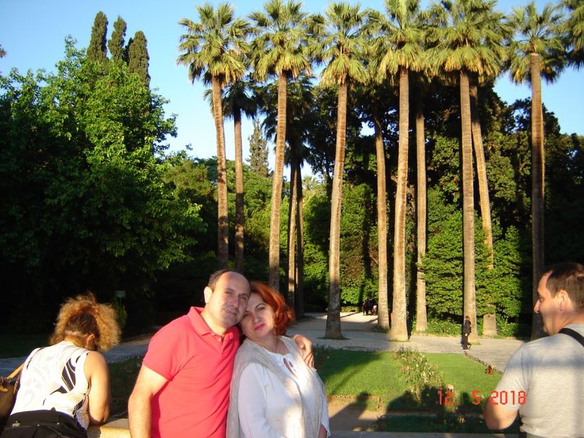  - 2018 mai camera Atena